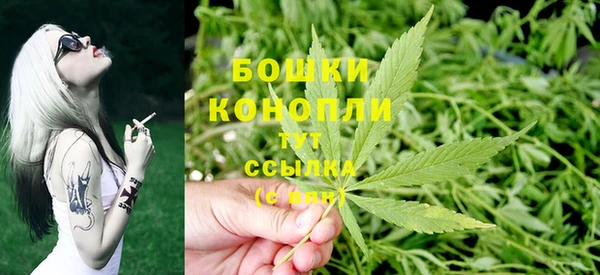 шишки Абаза