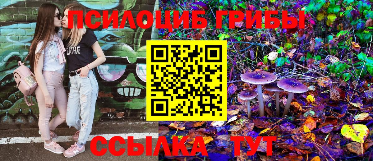 Псилоцибиновые грибы GOLDEN TEACHER Сургут