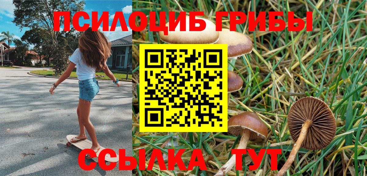 Галлюциногенные грибы мухоморы  продажа наркотиков  Сургут  Вход с VPN 